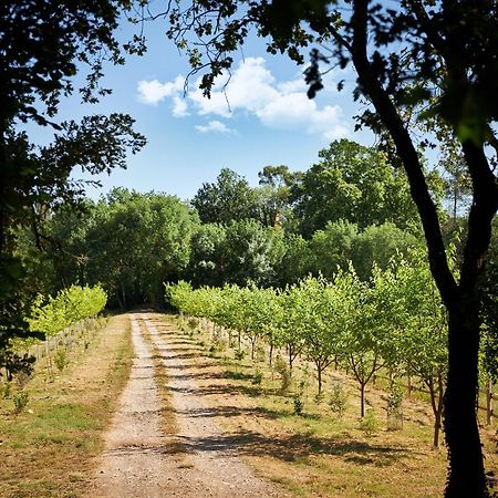 Ferme Saint-Georges En Provence Panzió Le Val Kültér fotó