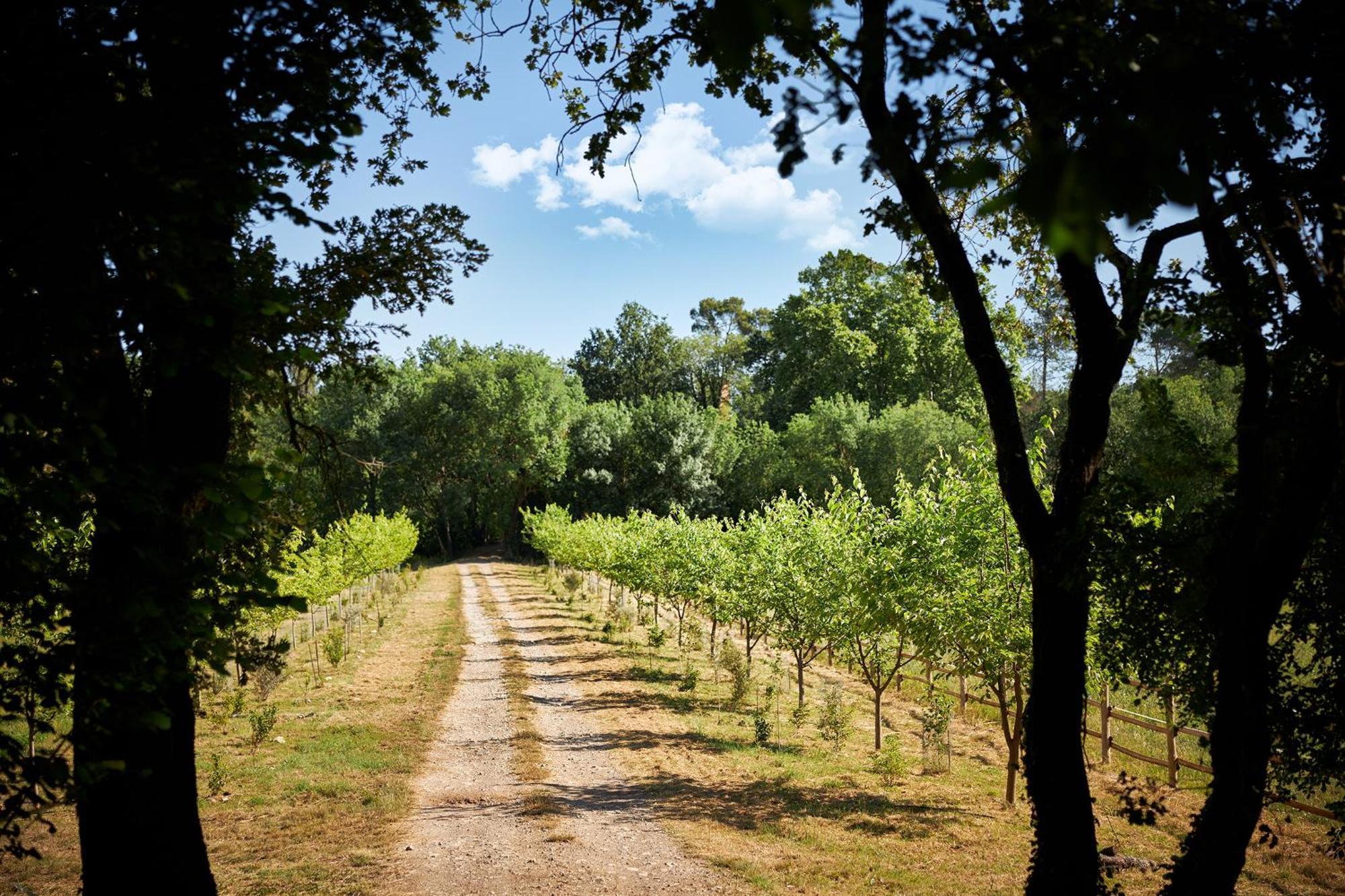 Ferme Saint-Georges En Provence Panzió Le Val Kültér fotó